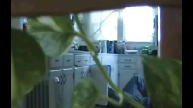 XXX bez rejestracji Gospodynie amatorskie darmowe filmy erotyczne zdrada męża
